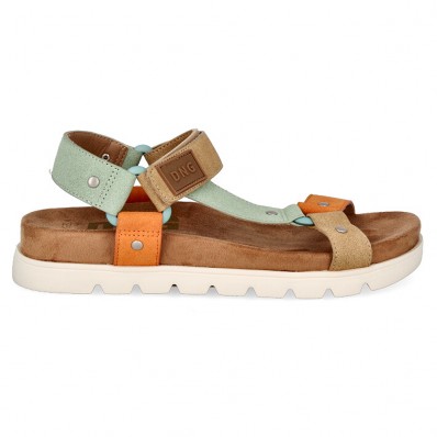 DBZ 28038 COMBI CAMEL