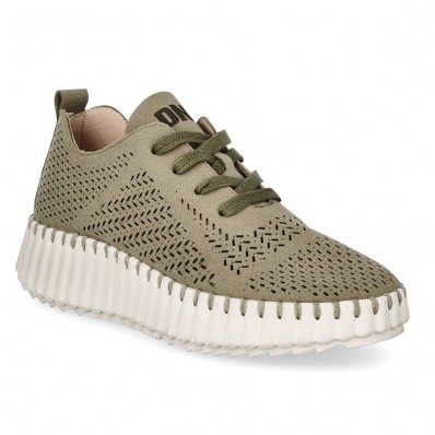 DOG 28235 KAKI